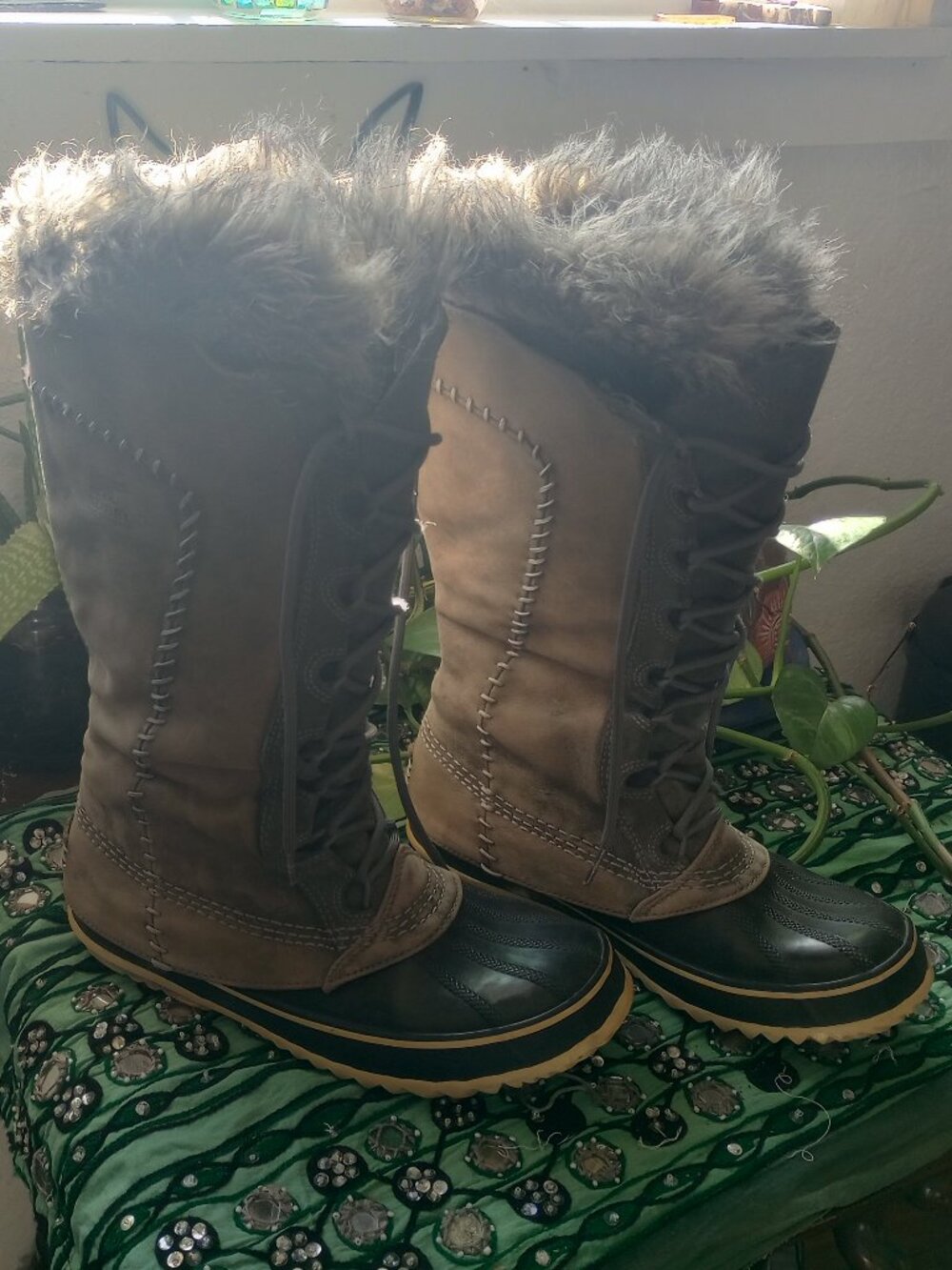Sorel Cate the Great Knee High